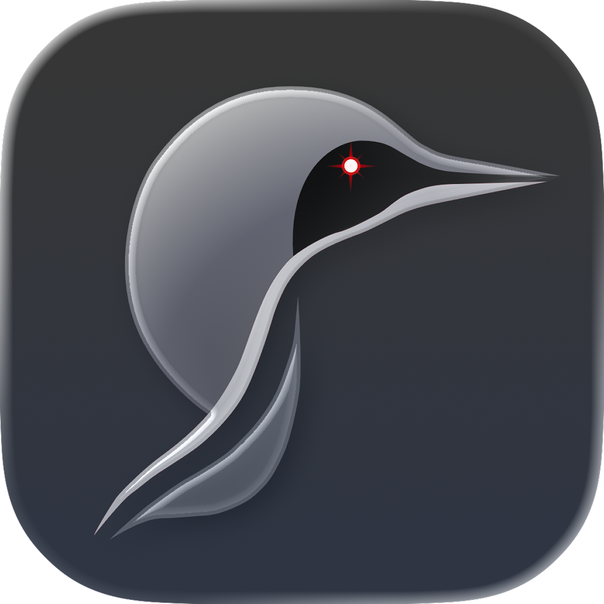 LOON by Jamstik