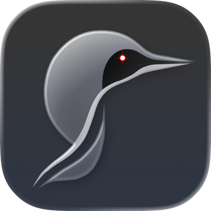 LOON by Jamstik
